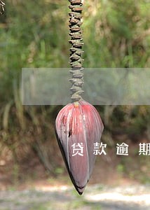 贷款逾期未取会怎么样 贷款逾期未取会怎么样