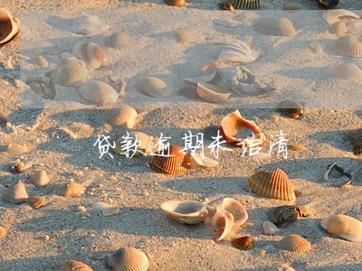 贷款逾期未结清 贷款逾期未结清