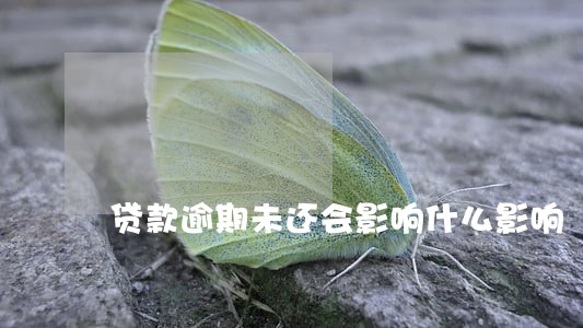 贷款逾期未还会影响什么影响