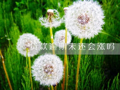贷款逾期未还会涨吗 贷款逾期未还会涨吗
