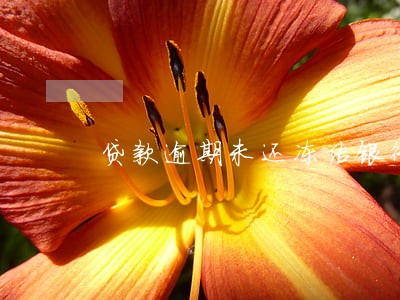 贷款逾期未还冻结银行卡子女 贷款逾期未还冻结银行卡子女