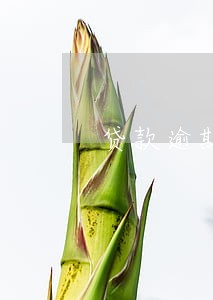 贷款逾期未还后