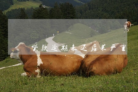 贷款逾期未还后果严重 贷款逾期未还后果严重