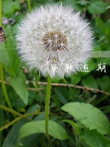 贷款逾期未还多久会有影响 贷款逾期未还多久会有影响