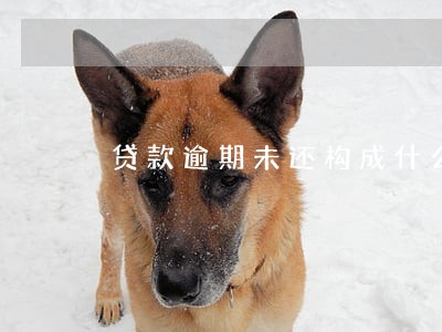 贷款逾期未还构成什么犯罪 贷款逾期未还构成什么犯罪