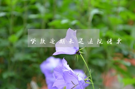 贷款逾期未还法院传票 贷款逾期未还法院传票