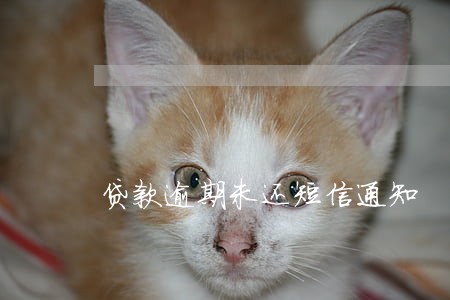 贷款逾期未还短信通知 贷款逾期未还短信通知
