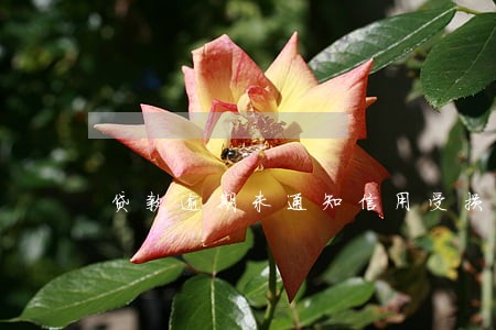 贷款逾期未通知信用受损判决书