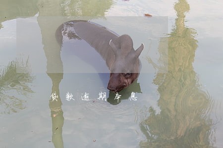 贷款逾期本息 贷款逾期本息