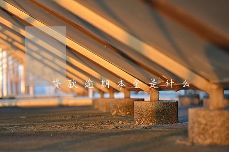 贷款逾期本金是什么 贷款逾期本金是什么