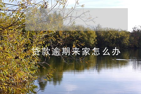 贷款逾期来家怎么办 贷款逾期来家怎么办