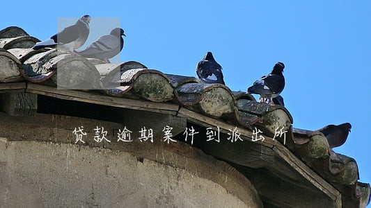 贷款逾期案件到派出所 贷款逾期案件到派出所