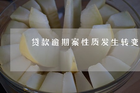 贷款逾期案性质发生转变 贷款逾期案性质发生转变