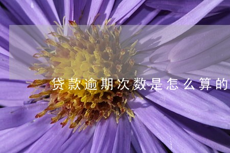 贷款逾期次数是怎么算的 贷款逾期次数是怎么算的