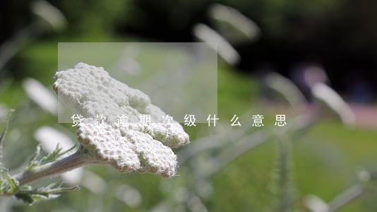 贷款逾期次级什么意思