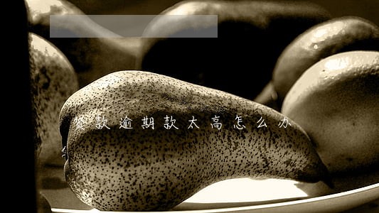 贷款逾期款太高怎么办 贷款逾期款太高怎么办