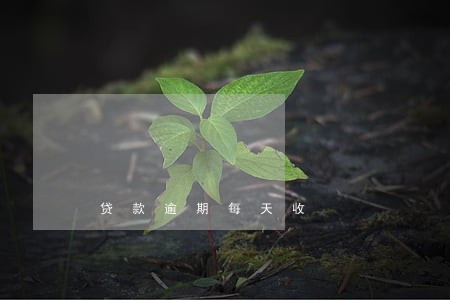 贷款逾期每天收 贷款逾期每天收