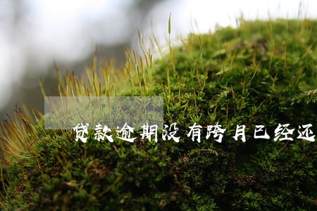 贷款逾期没有跨月已经还款 贷款逾期没有跨月已经还款
