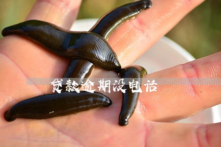 贷款逾期没电话 贷款逾期没电话