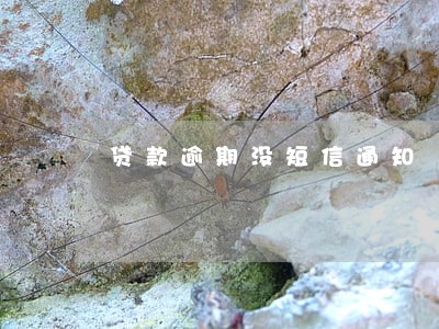 贷款逾期没短信通知 贷款逾期没短信通知