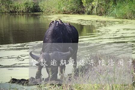 贷款逾期没还冻结信用卡 贷款逾期没还冻结信用卡