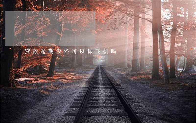 贷款逾期没还可以做飞机吗 贷款逾期没还可以做飞机吗