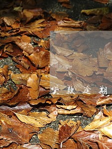 贷款逾期没还影响坐飞机吗 贷款逾期没还影响坐飞机吗