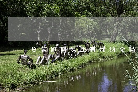 贷款逾期没还有滞纳金吗
