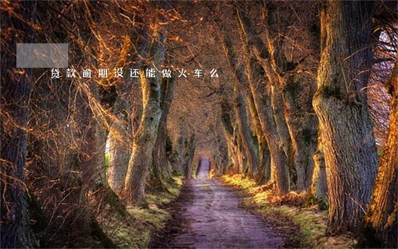 贷款逾期没还能做火车么 贷款逾期没还能做火车么