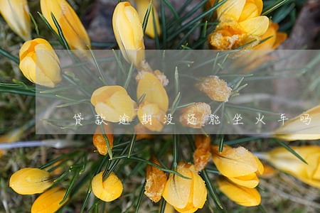 贷款逾期没还能坐火车吗