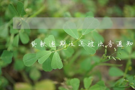 贷款逾期没还被法务通知出庭 贷款逾期没还被法务通知出庭