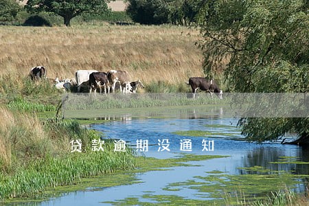 贷款逾期没通知