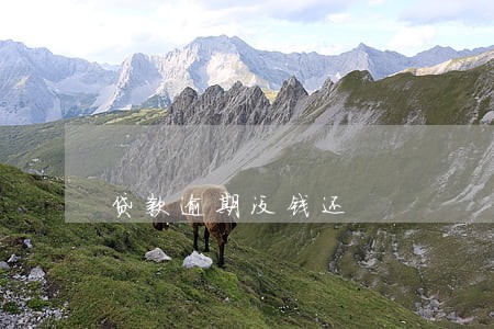 贷款逾期没钱还 贷款逾期没钱还
