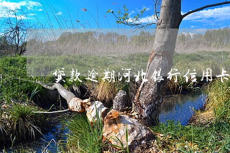 贷款逾期河北银行信用卡冻结 贷款逾期河北银行信用卡冻结