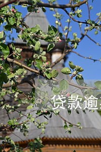 贷款逾期法律法规 贷款逾期法律法规
