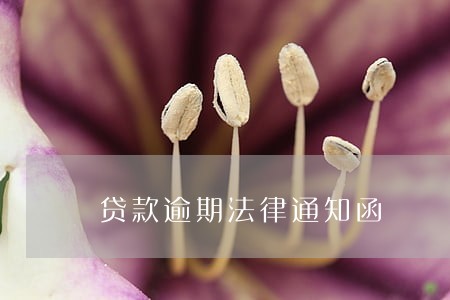贷款逾期法律通知函
