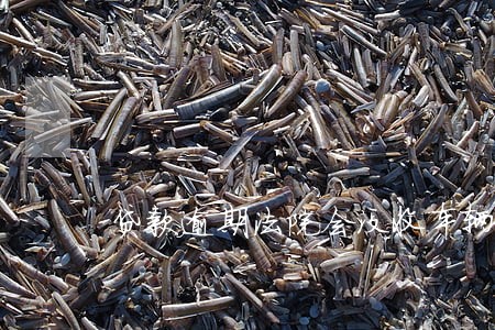 贷款逾期法院会没收车辆吗 贷款逾期法院会没收车辆吗