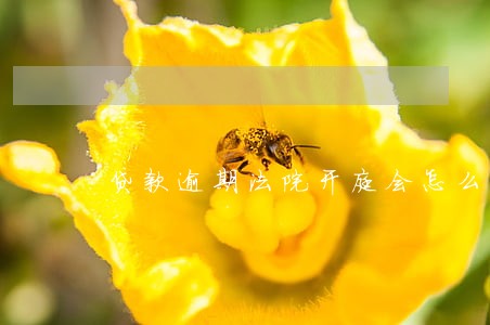 贷款逾期法院开庭会怎么判 贷款逾期法院开庭会怎么判