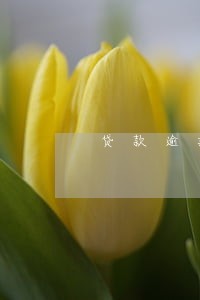 贷款逾期法院怎么执行 贷款逾期法院怎么执行