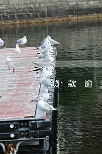 贷款逾期法院有没有传票 贷款逾期法院有没有传票