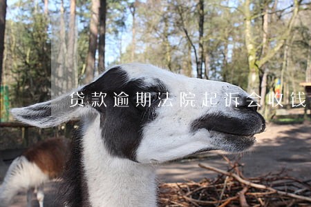 贷款逾期法院起诉会收钱不 贷款逾期法院起诉会收钱不