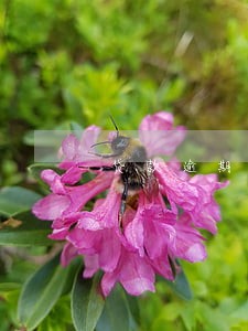 贷款逾期法院起诉还款 贷款逾期法院起诉还款