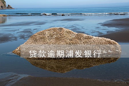 贷款逾期浦发银行 贷款逾期浦发银行
