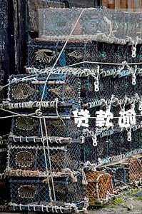 贷款逾期涉嫌诈骗