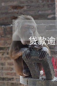 贷款逾期清收第三方 贷款逾期清收第三方