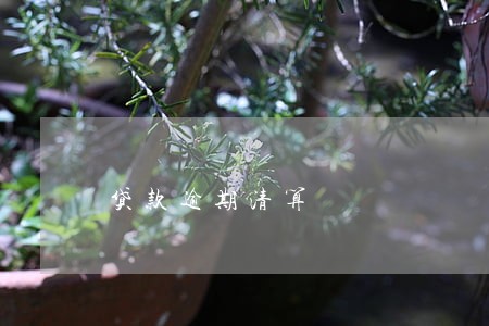 贷款逾期清算 贷款逾期清算