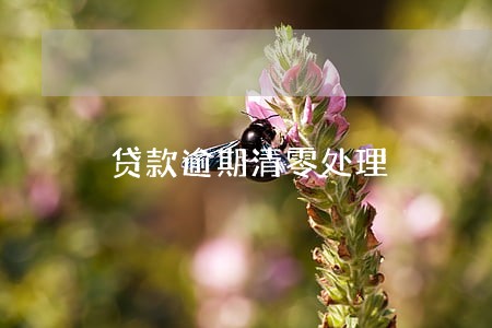 贷款逾期清零处理 贷款逾期清零处理