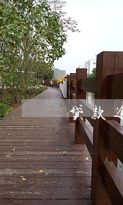 贷款逾期滚动率 贷款逾期滚动率