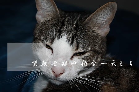 贷款逾期滞纳金一天200 贷款逾期滞纳金一天200