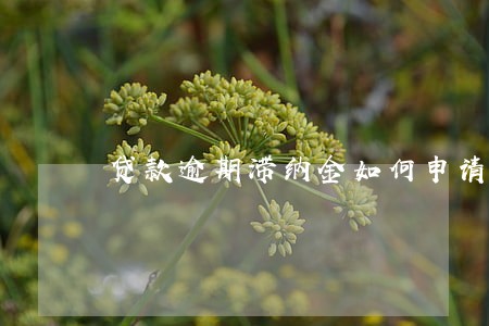 贷款逾期滞纳金如何申请减免 贷款逾期滞纳金如何申请减免